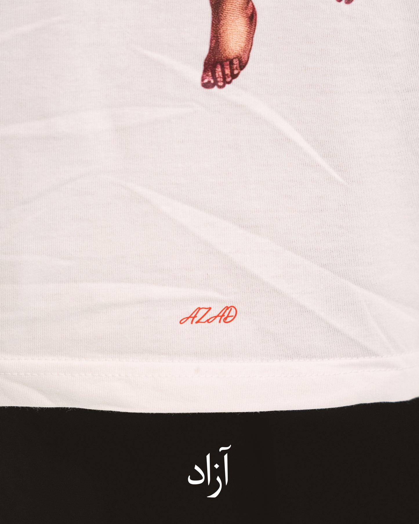 Fuck Around & Find Out